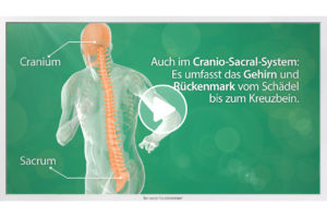 Patientenaufklärungs-Film zum Thema "Cranio-Sacral-Therapie" von TV-Wartezimmer.
