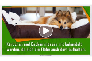 Patientenaufklärungs-Film zum Thema "Parasiten: Flöhe, Läuse, Zecken" von TV-Wartezimmer.
